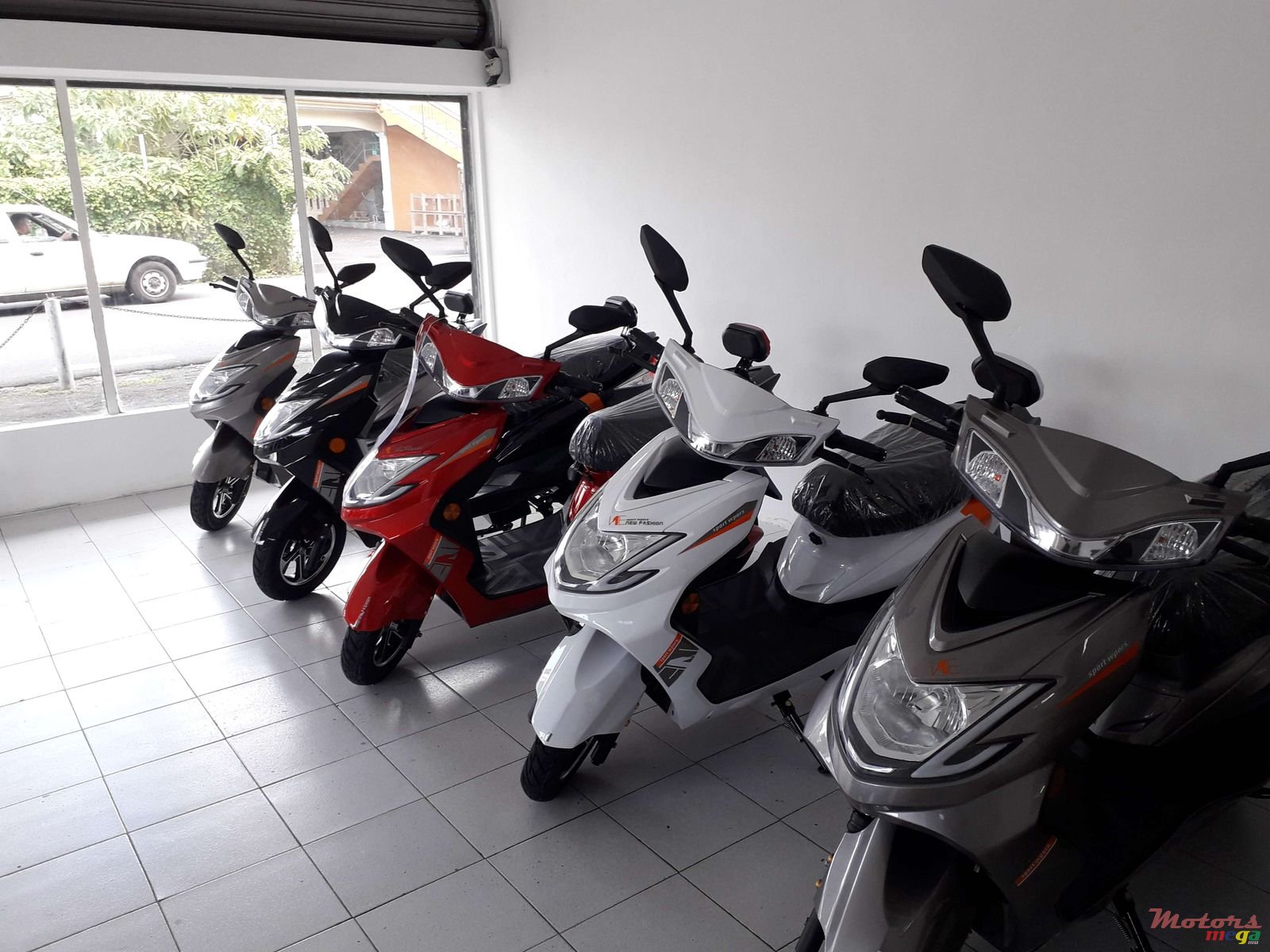 2019' Warrior photo #1