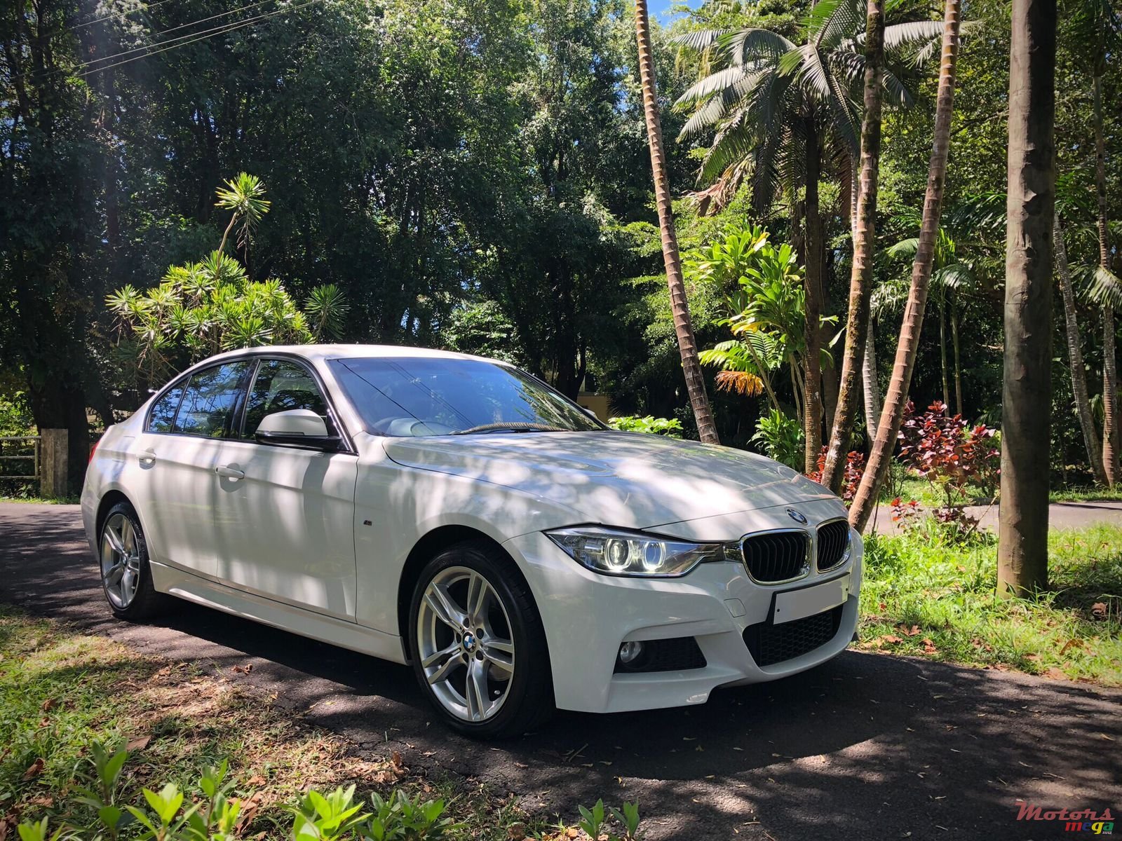 2014' BMW 316i M sport photo #1