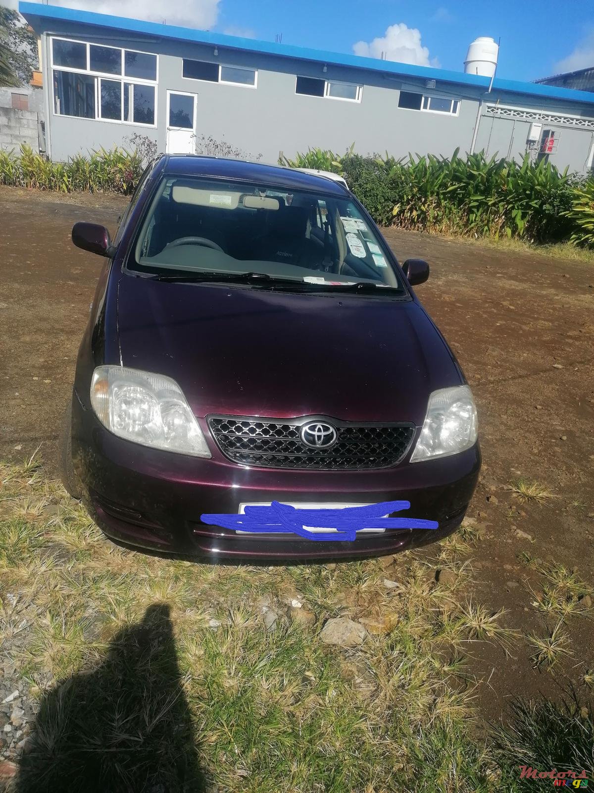 2004' Toyota Corolla photo #1