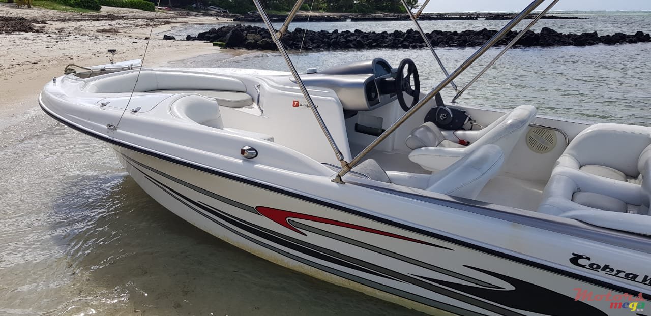 2008' Cobra photo #5