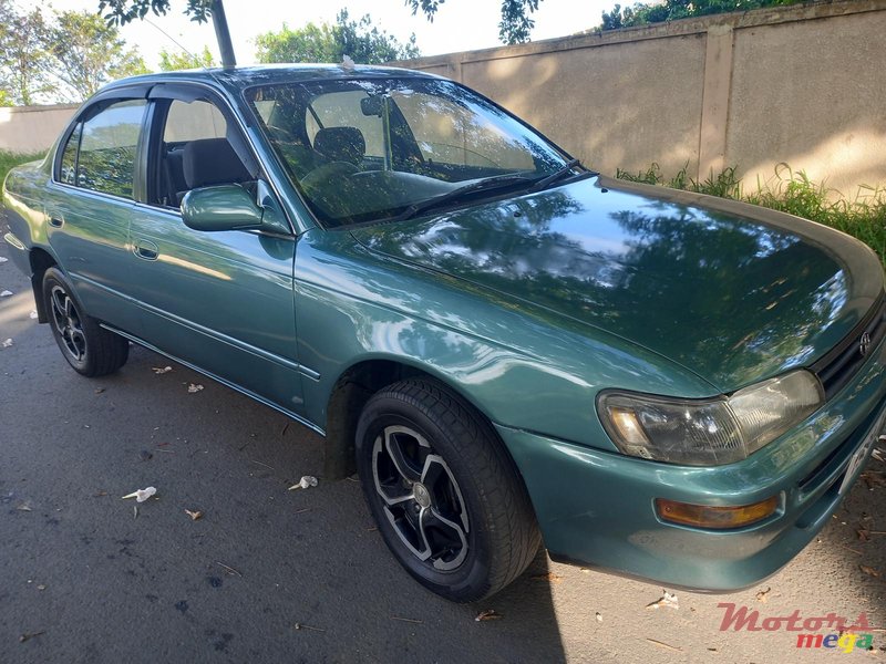 1996' Toyota Corolla photo #3