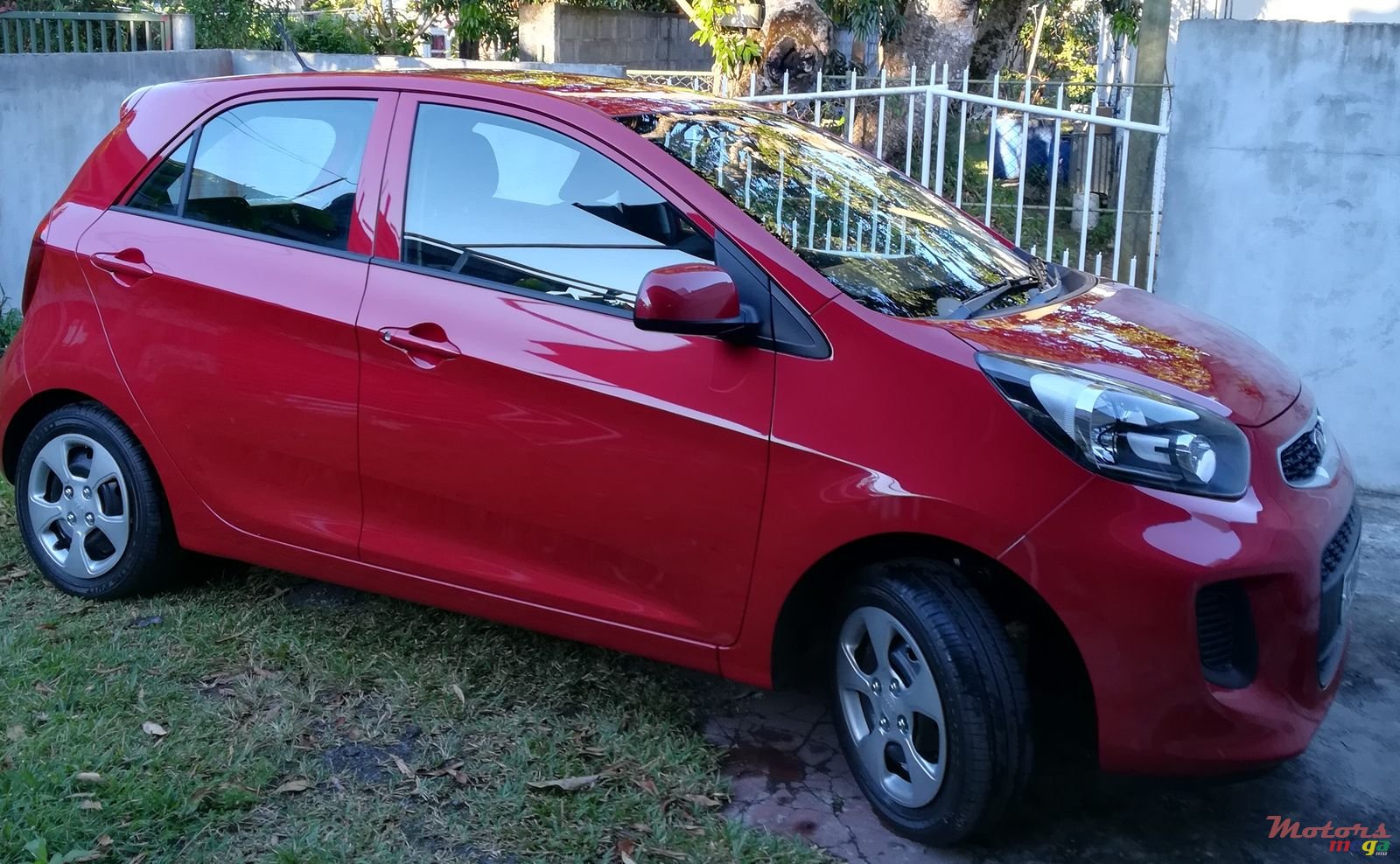 2017' Kia Picanto photo #1