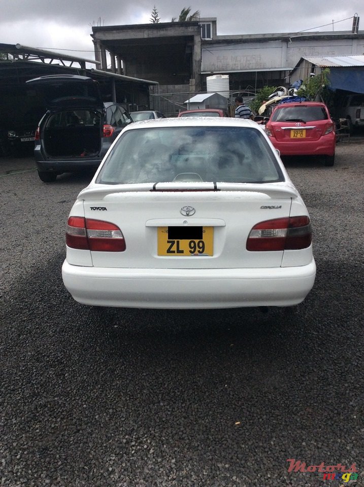 1999' Toyota Corolla E113 photo #7