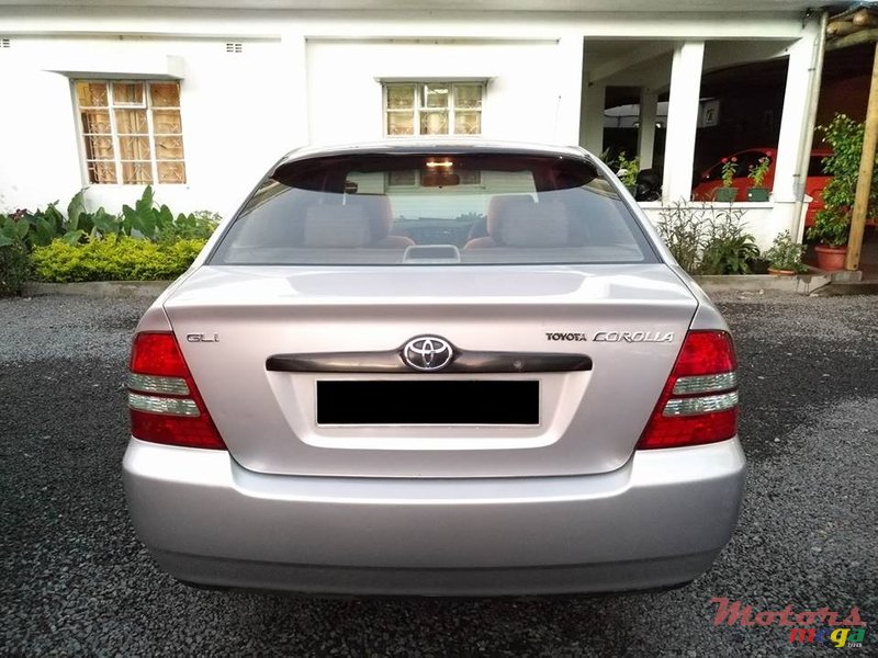 2004' Toyota Corolla NZE photo #4