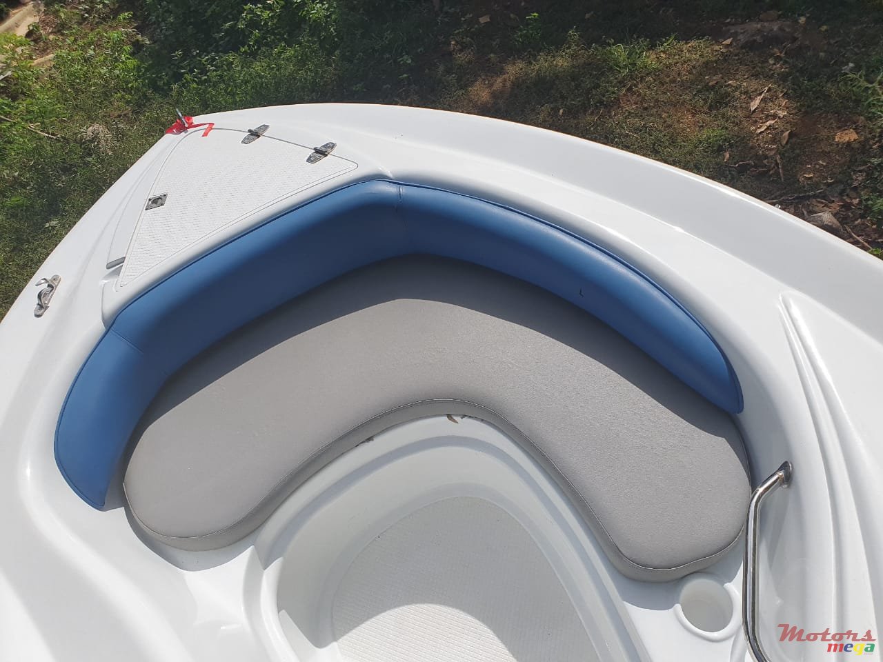 2013' Cobra photo #2