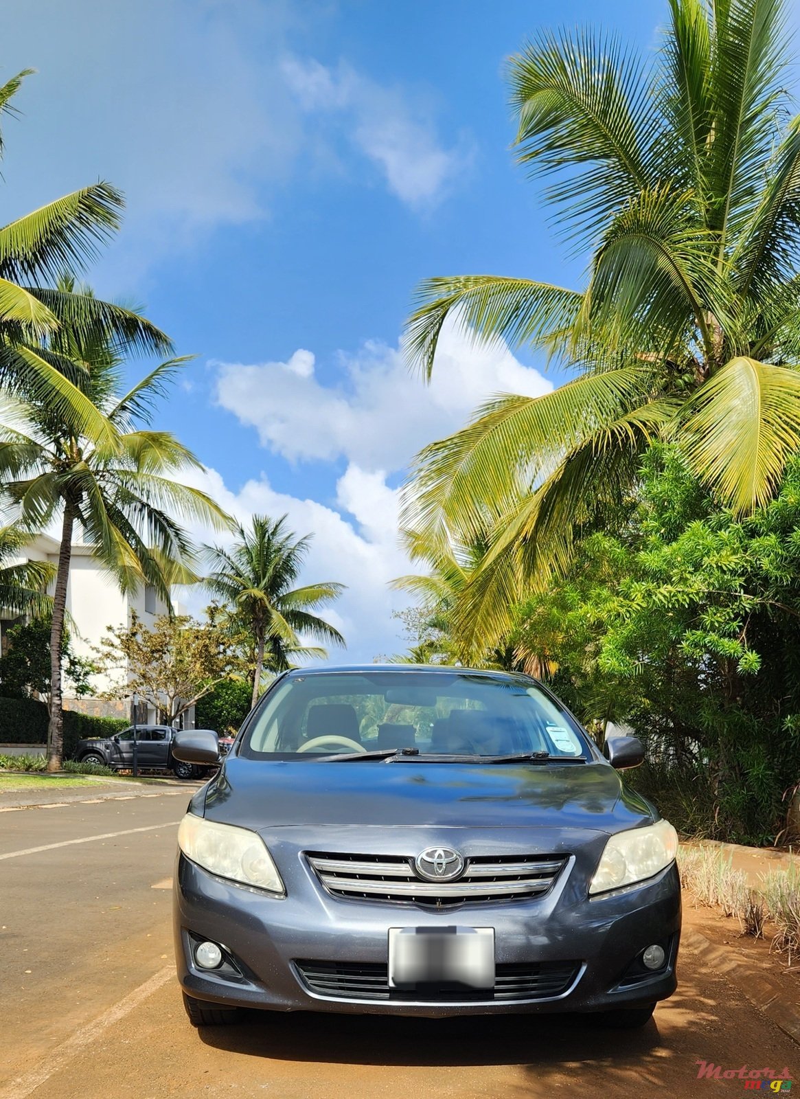 2009' Toyota Corolla photo #1