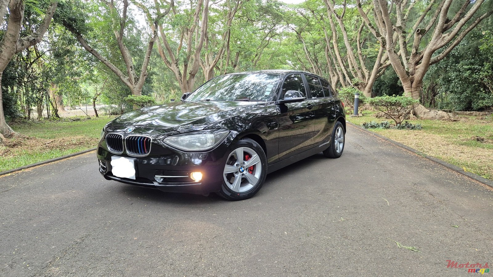 2012' BMW 116 Sport Line photo #2