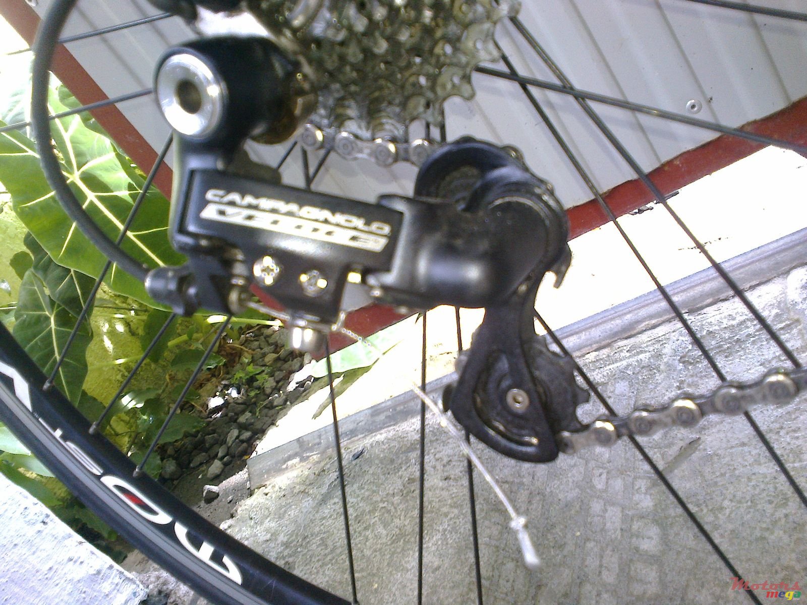 2014' Campagna photo #4