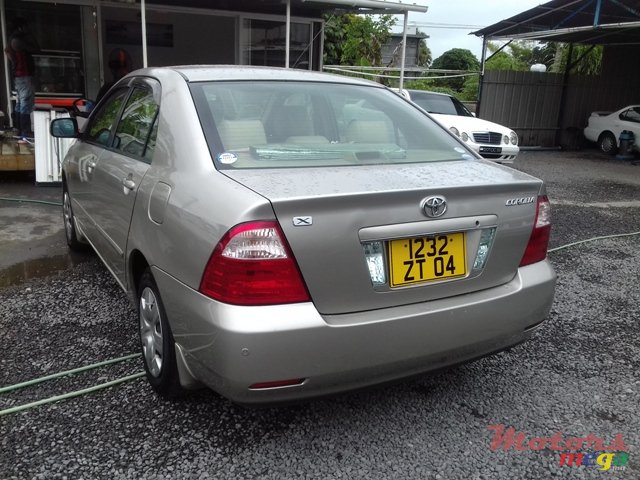 2004' Toyota Corolla NZE photo #6