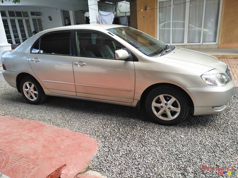 2002' Toyota Corolla NZE photo #2