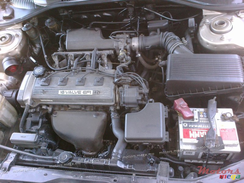 1995' Toyota photo #2