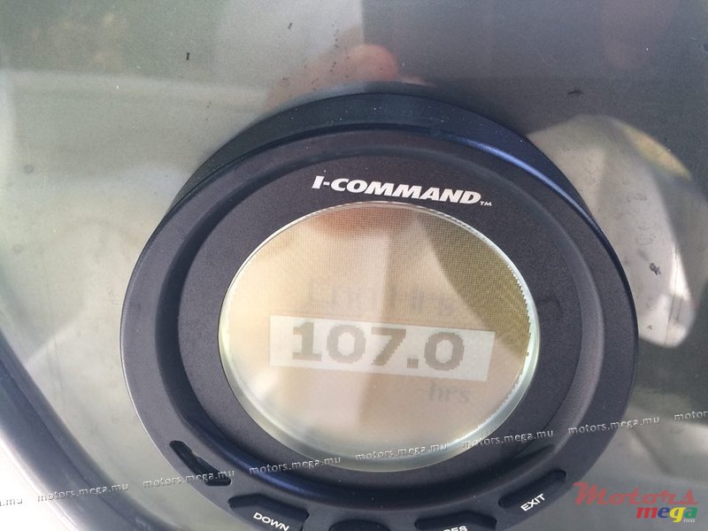 2009' Cobra photo #4