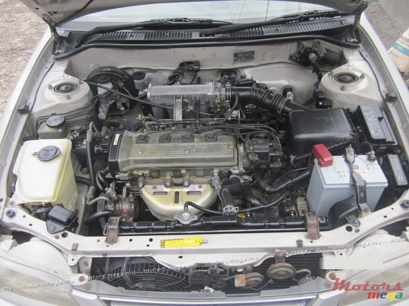 1997' Toyota Corolla XE-Saloon  photo #7