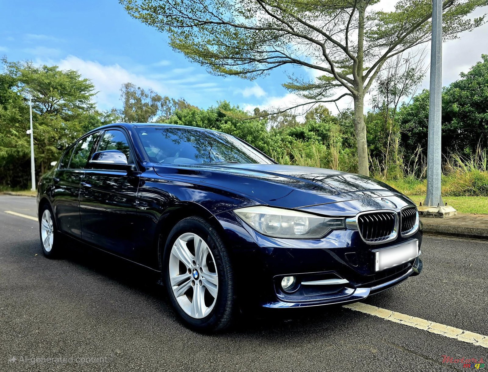 2013' BMW 316 photo #2