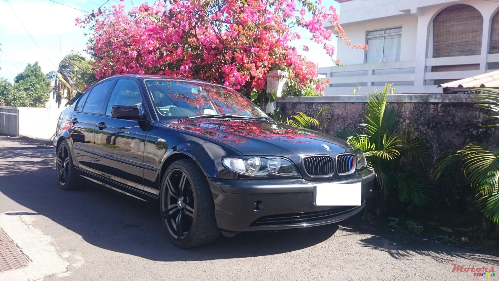 2004' BMW 3 Series 318i E46 photo #1