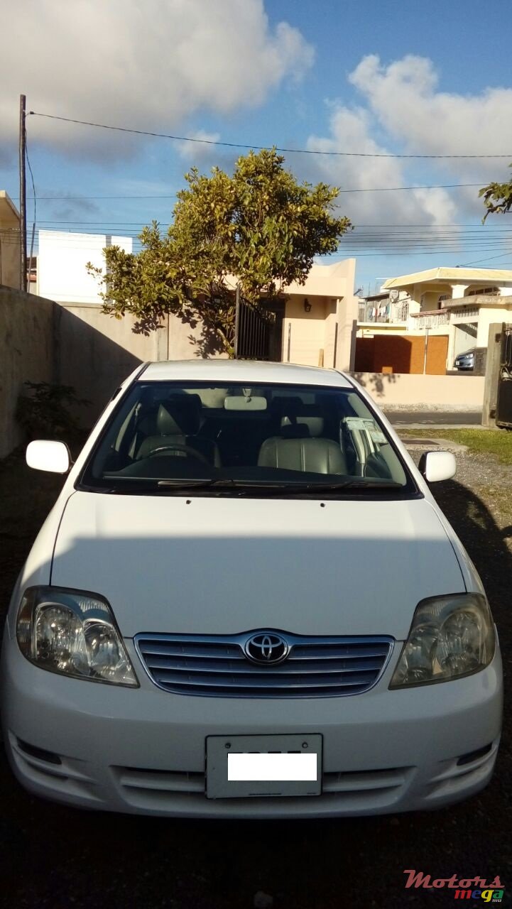 2003' Toyota Corolla photo #3