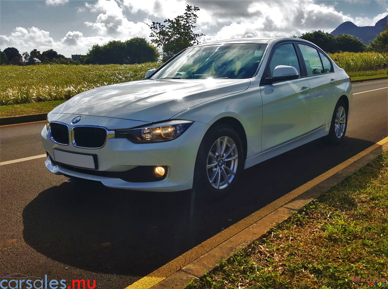 2013' BMW 316 i photo #3