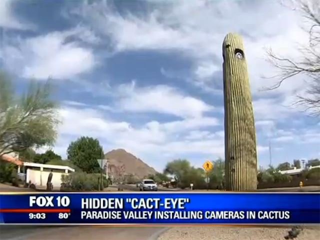 This City Has Installed $2 Million Worth of Traffic Cameras Inside Giant Green Dicks