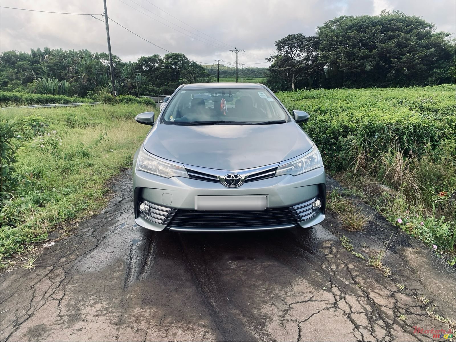 2017' Toyota Corolla photo #1