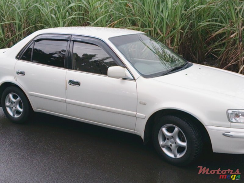 1999' Toyota Corolla SE SALOON RIVIERE photo #1