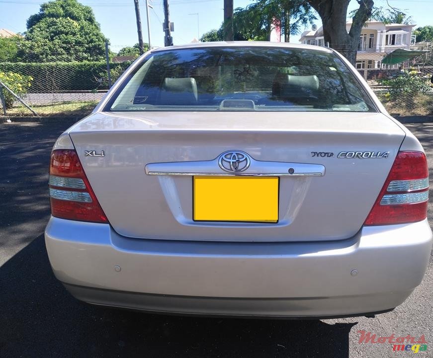 2002' Toyota Corolla NZE photo #4