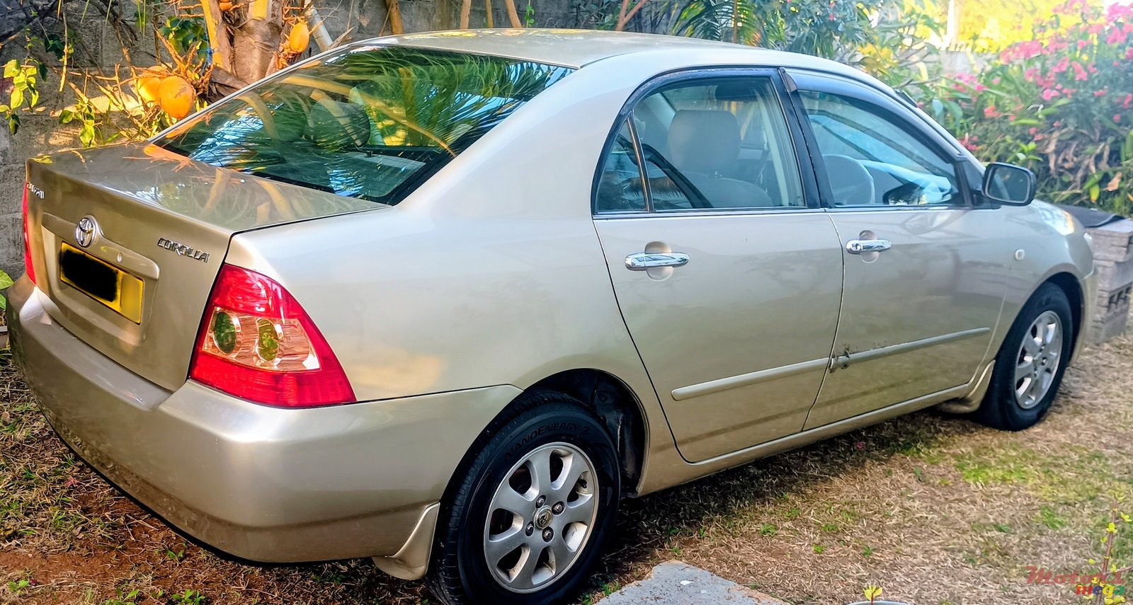 2007' Toyota Corolla photo #3