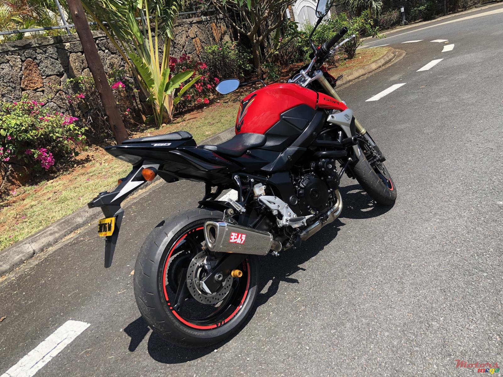 2011' Suzuki photo #1