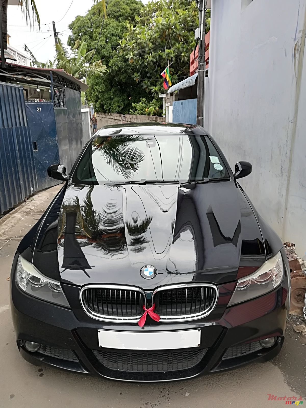 2009' BMW 318 photo #2