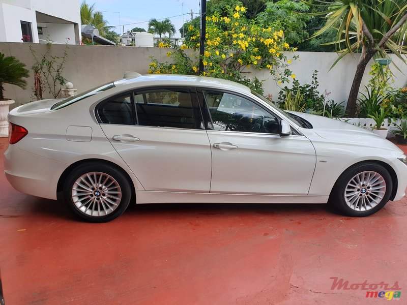 2013' BMW 316 Luxury photo #2