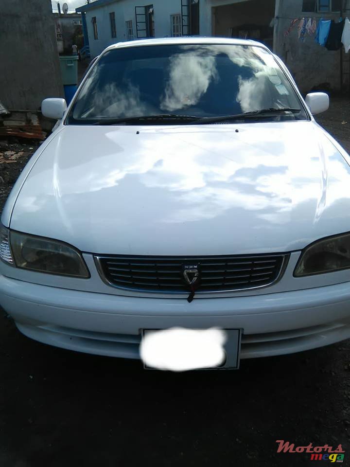 1999' Toyota Corolla photo #2