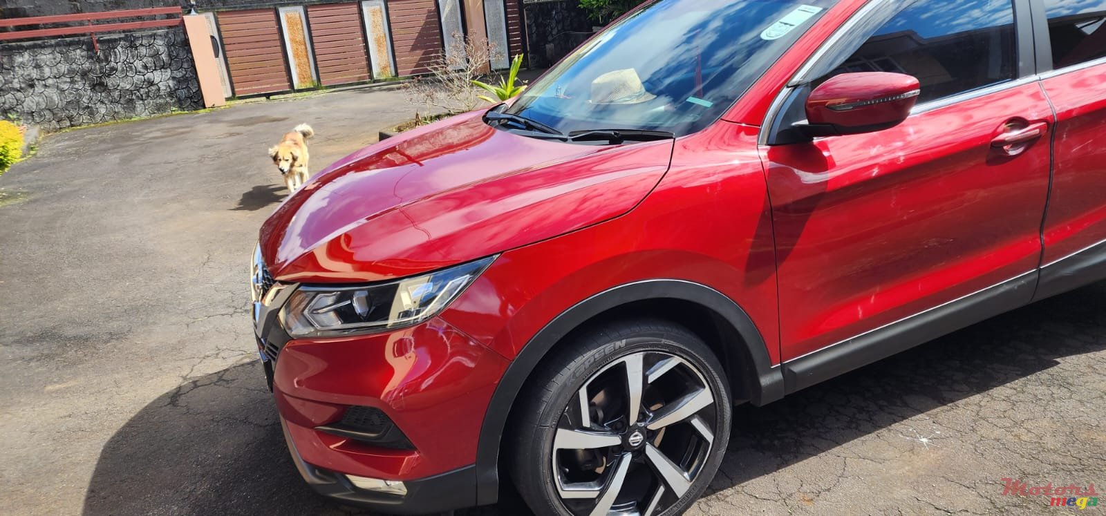 2019' Nissan Qashqai photo #3