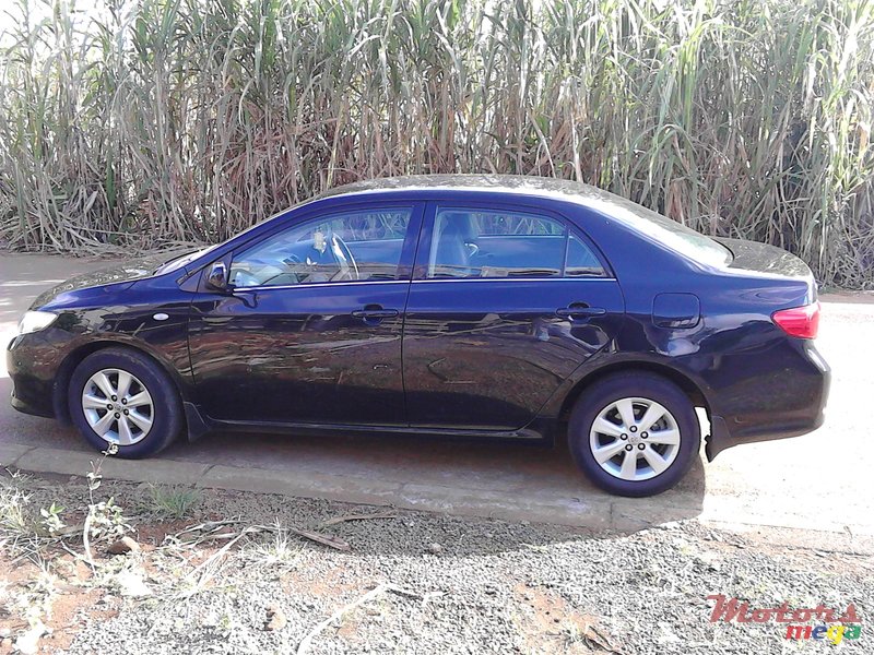 2008' Toyota Corolla photo #1