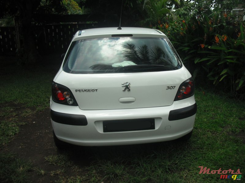 2006' Peugeot 307 photo #2
