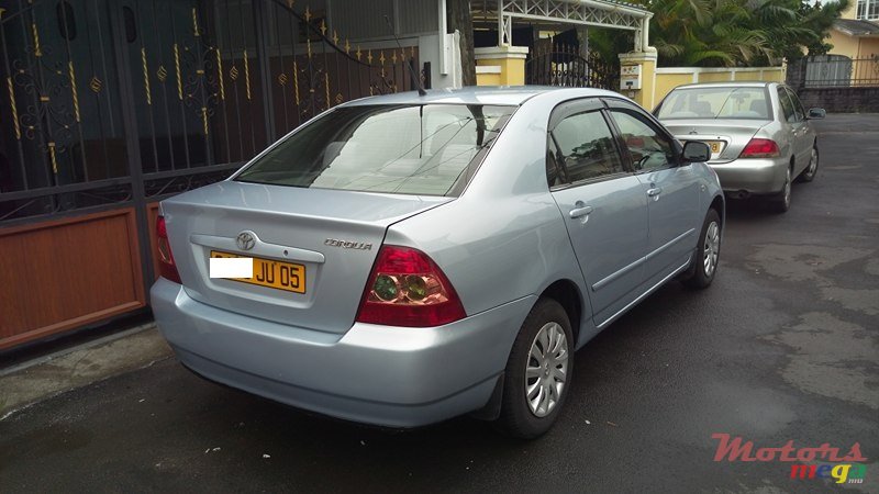 2005' Toyota Corolla NZE photo #2