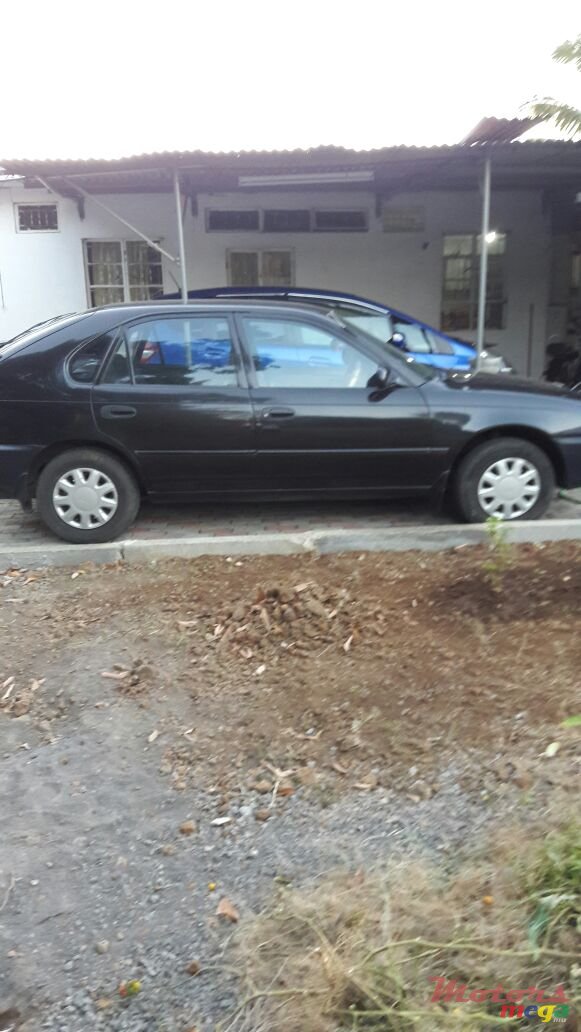 1996' Toyota Corolla photo #1