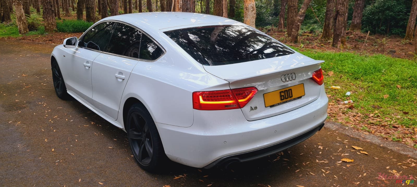 2013' Audi A5 photo #2