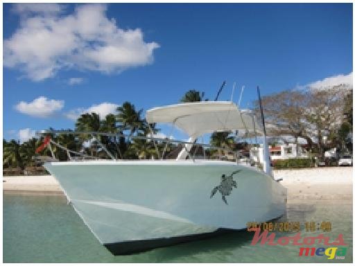 2011' Legend photo #3