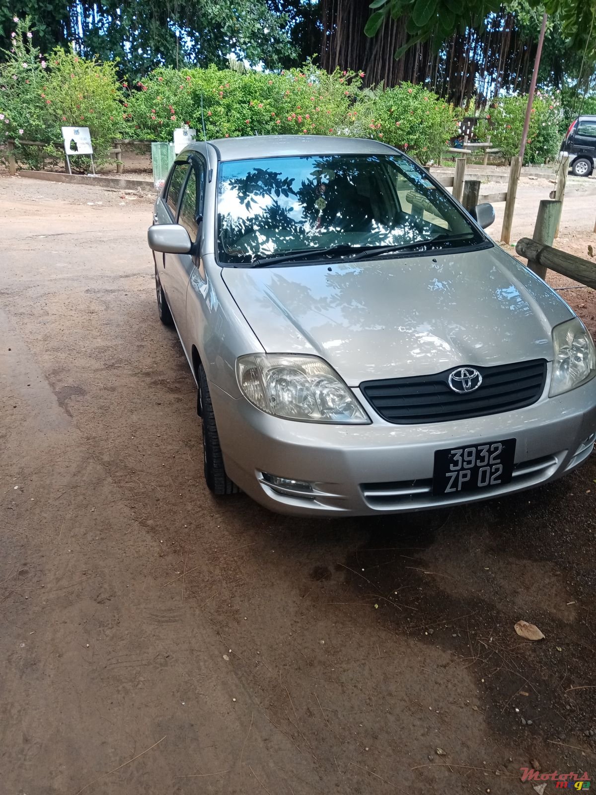 2002' Toyota Corolla photo #3