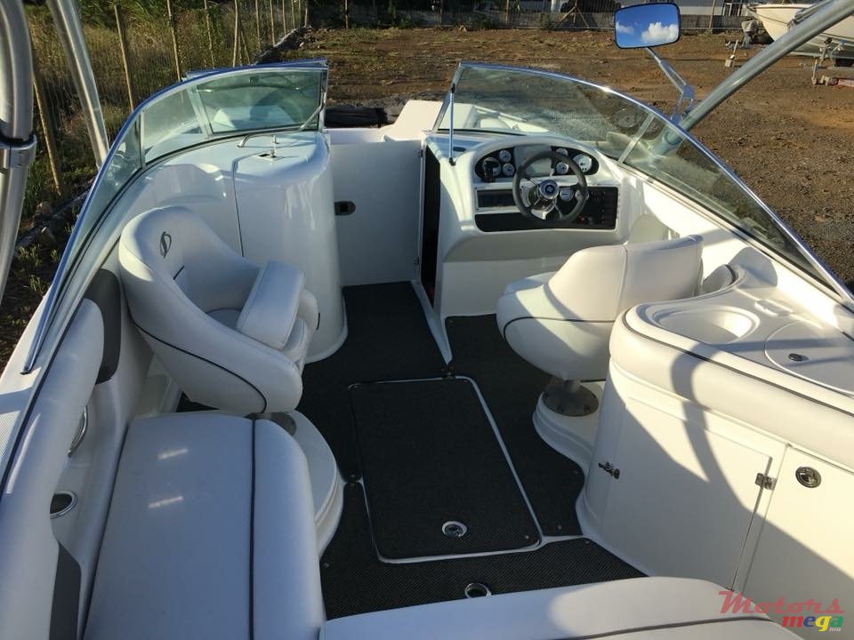 2013' Sunsation photo #6