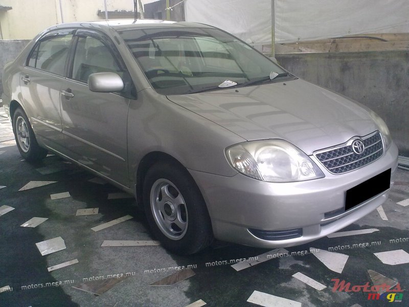 2001' Toyota Corolla NZE photo #1