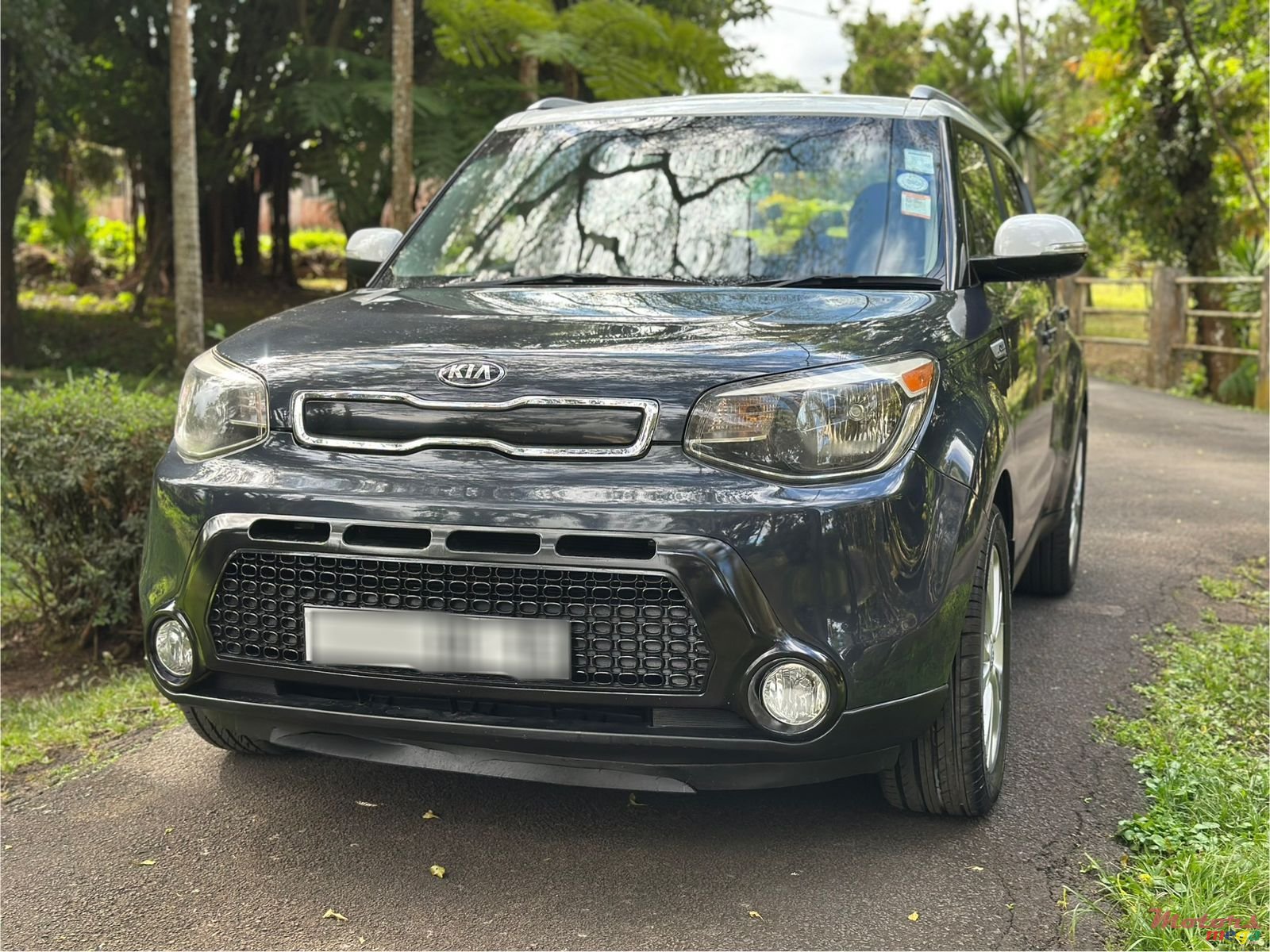2015' Kia Soul photo #2