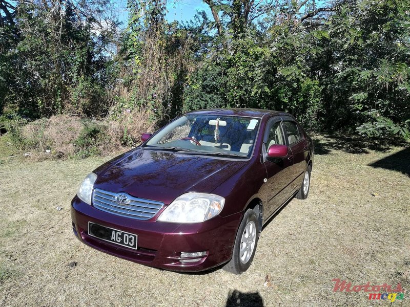 2003' Toyota Corolla NZE Local photo #1