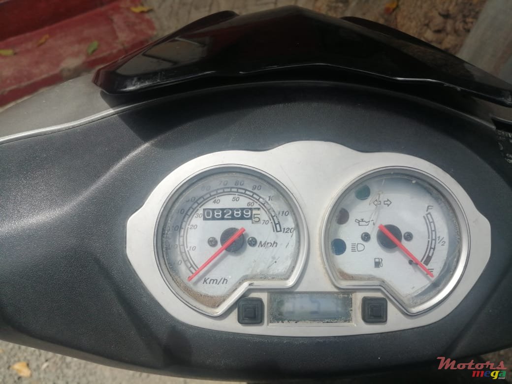 2017' Easy Rider photo #4