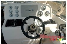 2016' Cobra photo #7