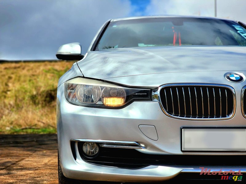 2014' BMW 316 photo #7