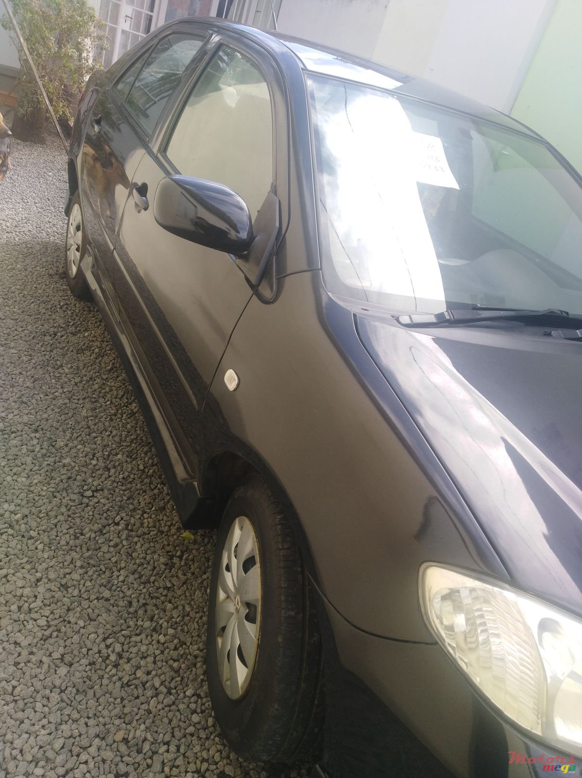 2005' Toyota photo #7