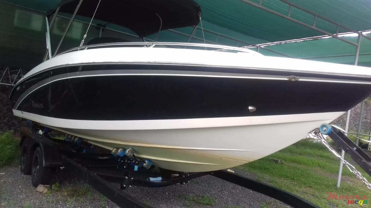 2017' Cobra photo #1