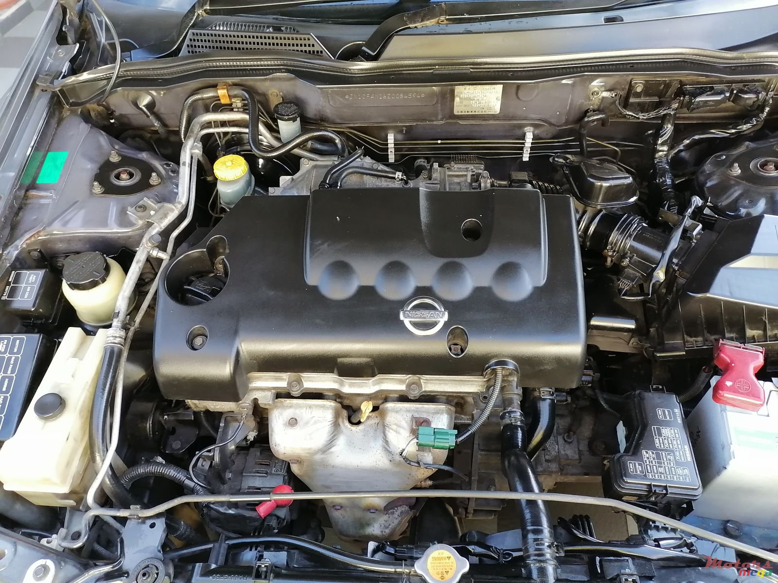 2004' Nissan Sunny photo #5