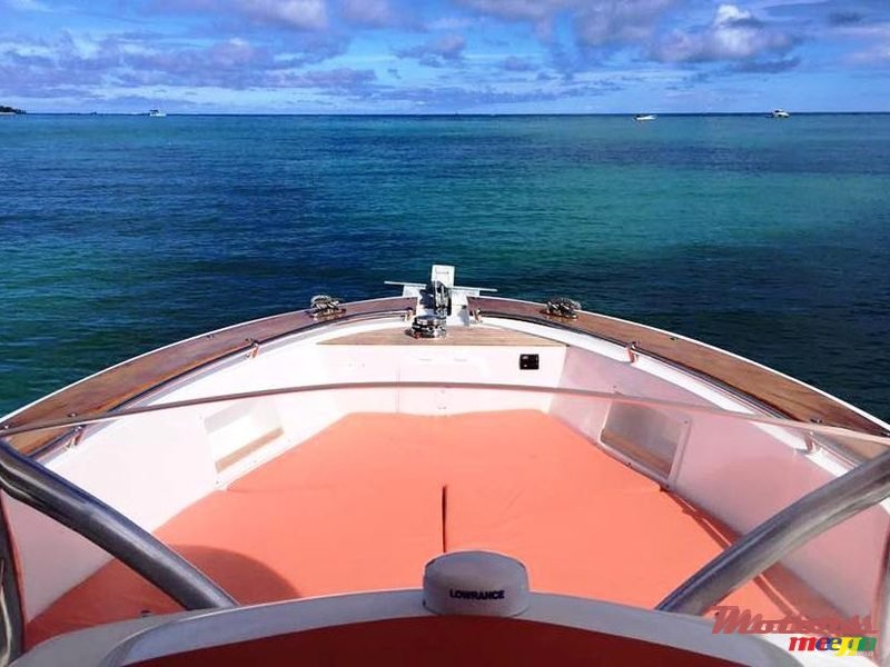 2017' Tema marine photo #5