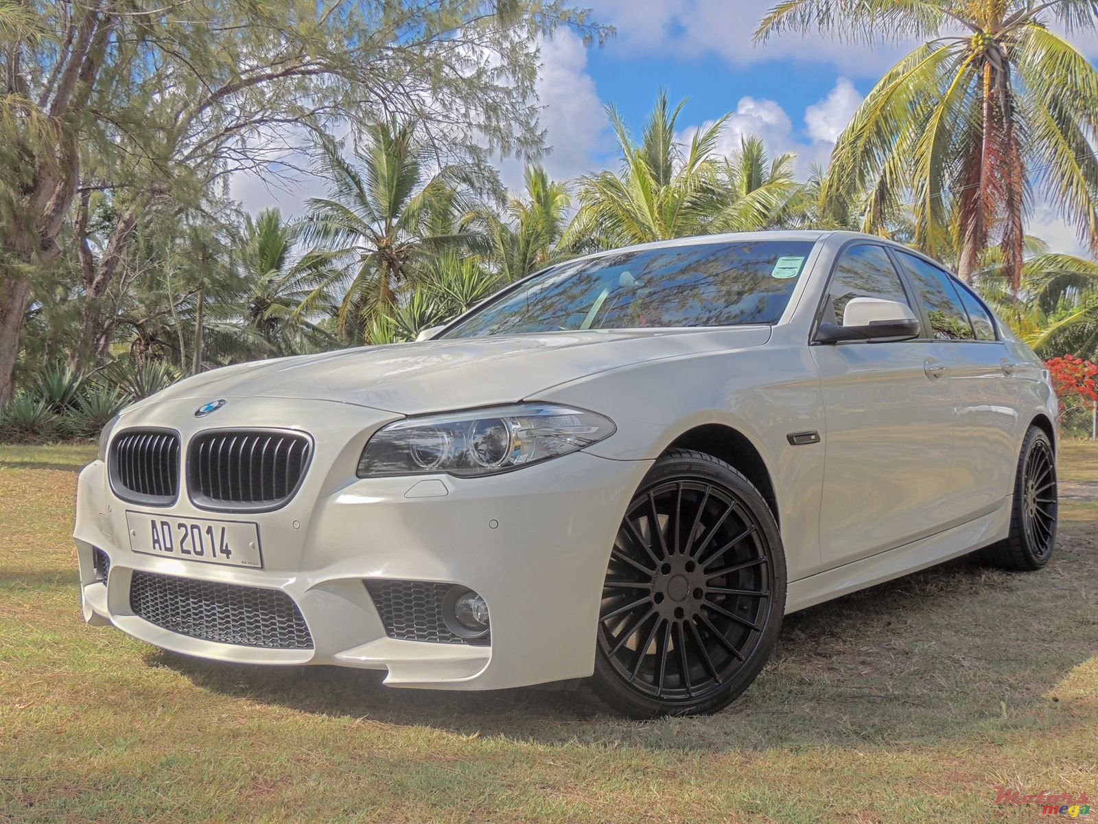 2015' BMW 530 photo #1